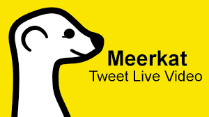 Meerkat Logo